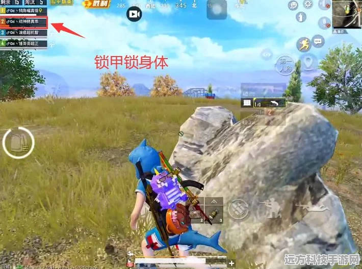 和平精英，揭秘吃鸡巅峰大师的段位之谜