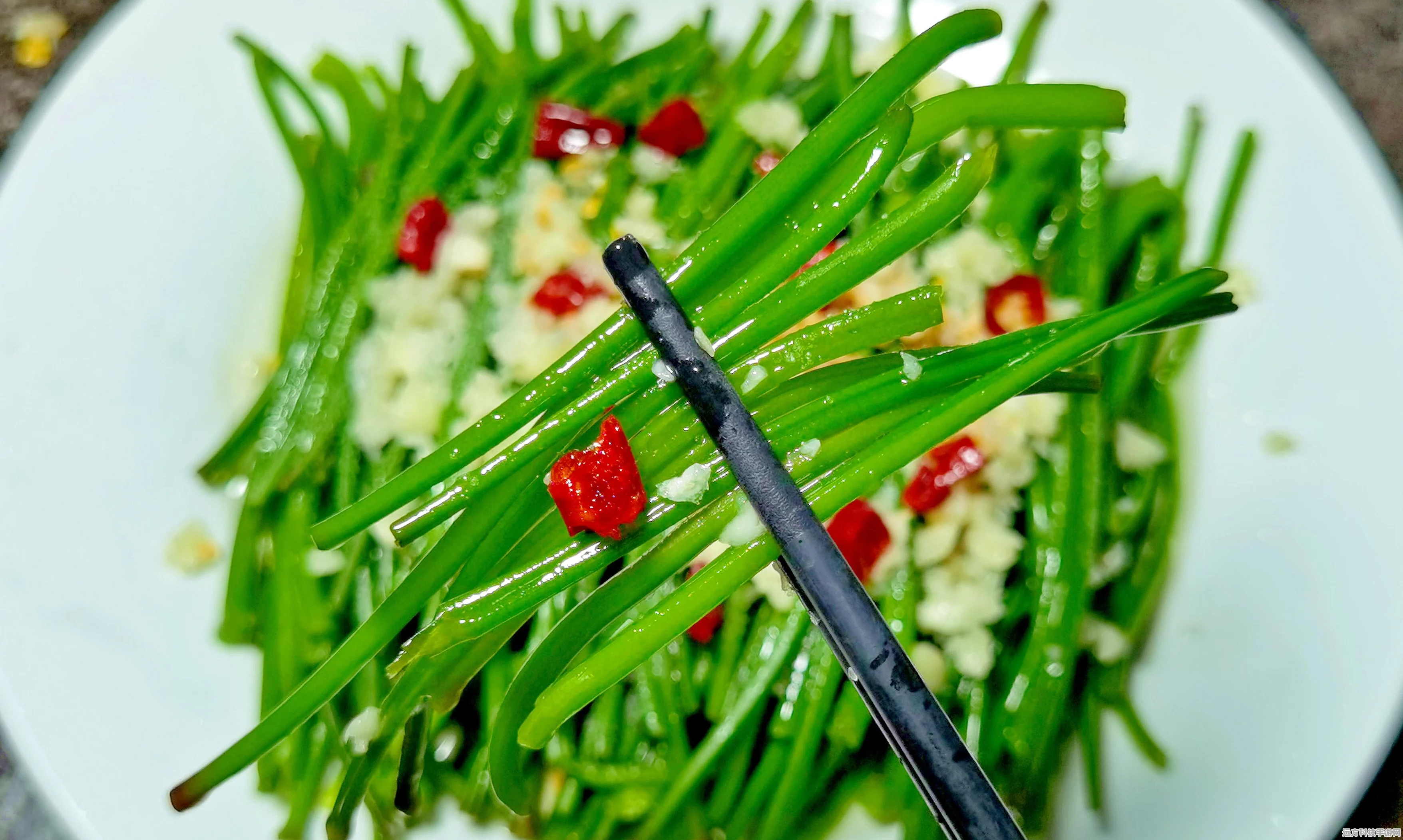 小座狼成长记，解锁饥荒世界的喂养艺术