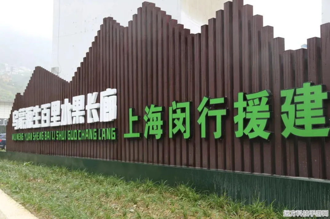 DNF辅助装备任务全攻略，解锁装备升级新篇章