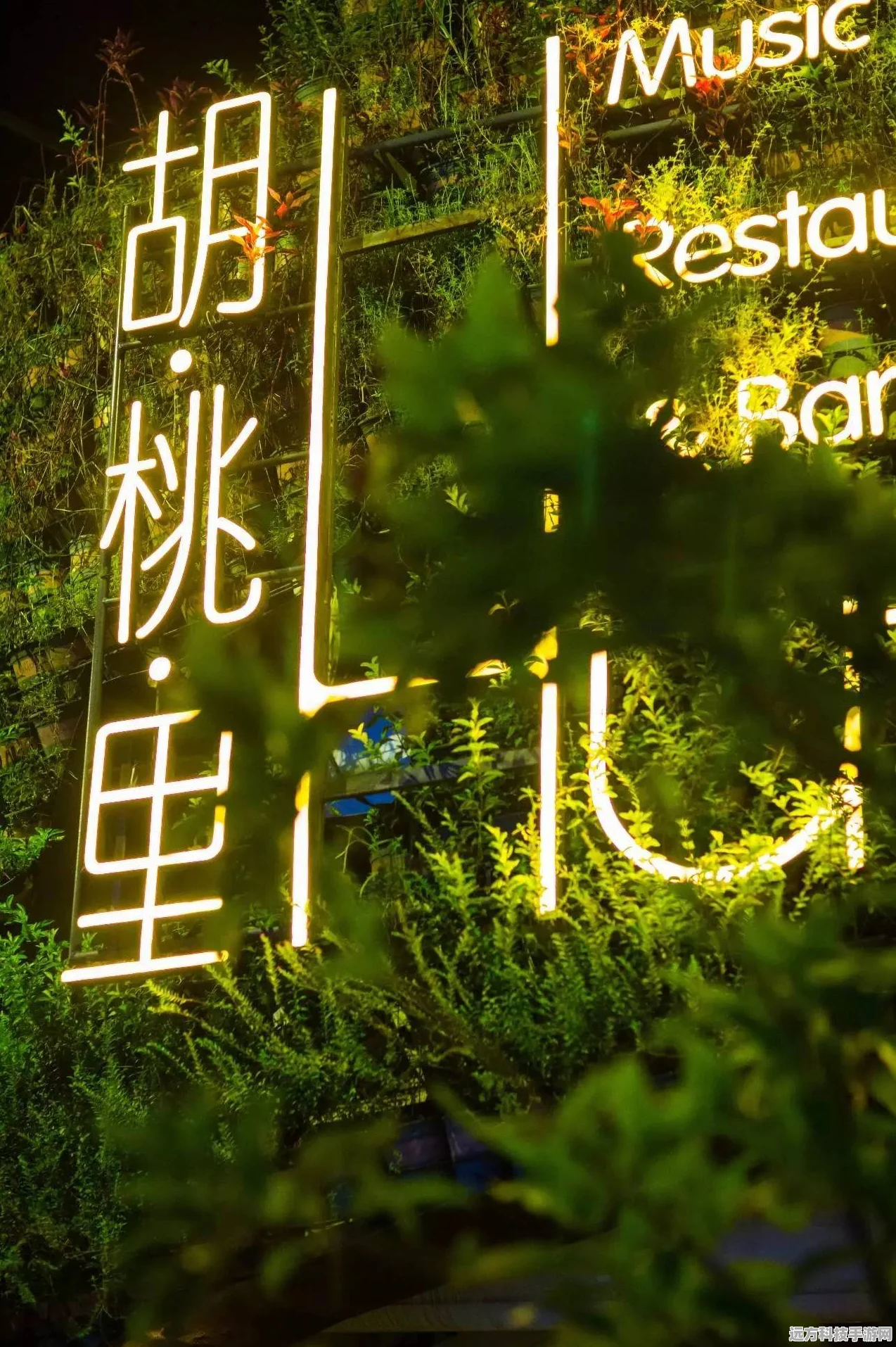 餐_地城，解锁全物品效果与作用，探险之旅更精彩！