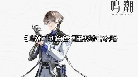 鸣潮相里要，解锁顶级阵容搭配新策略