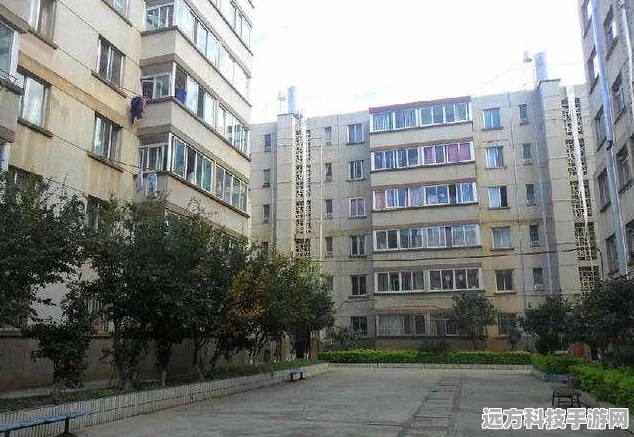 王牌停车场，打造你的停车帝国，模拟经营新体验！