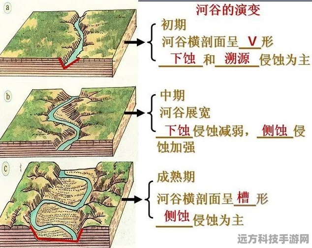 三角洲行动蚀金玫瑰，奢华与致命的武器外观鉴赏