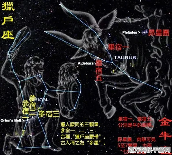 幻塔狮子座连线攻略，解锁星象奥秘