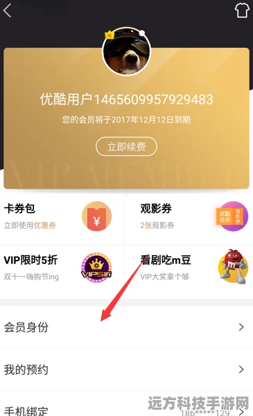 苹果12玩家必看，轻松取消优酷会员，告别自动续费