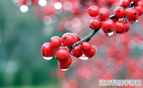 梦幻西游，从零开始，速升69级全攻略
