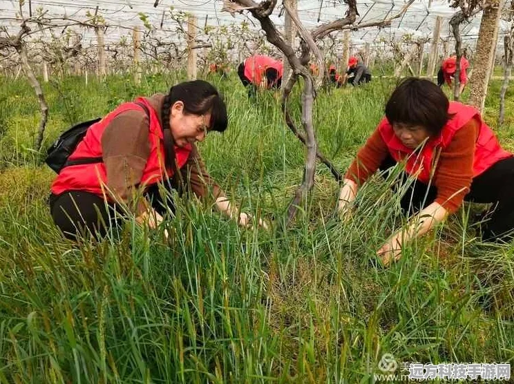 和平精英除草鸡，解锁新时代战场制胜秘籍