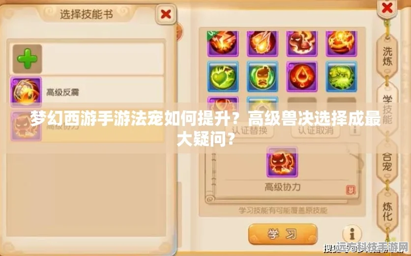 梦幻西游手游深度攻略，揭秘兽决获取之道，珍稀兽决轻松入手