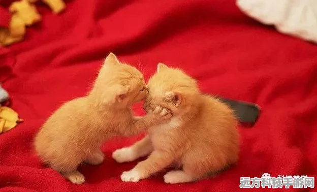 猫猫爱消除，萌宠相伴，轻松消除乐无边