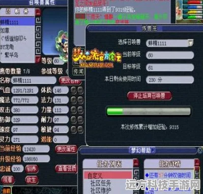 梦幻西游炼兽笼，高效使用策略全解析