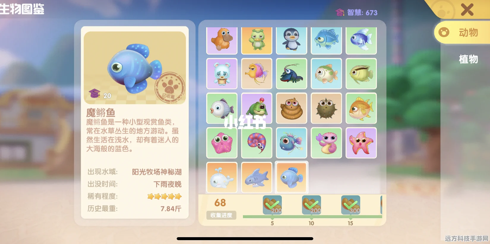 摩尔庄园手游斑点鲨垂钓全攻略