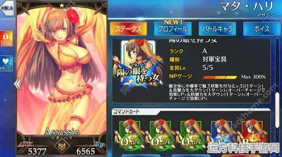 命运冠位指定FGO，阿提拉牵绊礼装加攻效果全解析