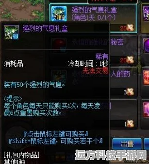 DNF锻造材料攻略，揭秘高效获取途径与热门选择