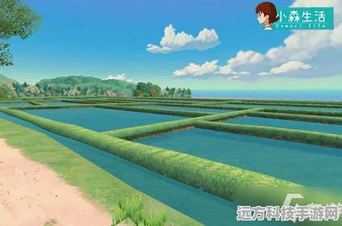 小森生活全新拍照玩法，解锁你的创意摄影之旅