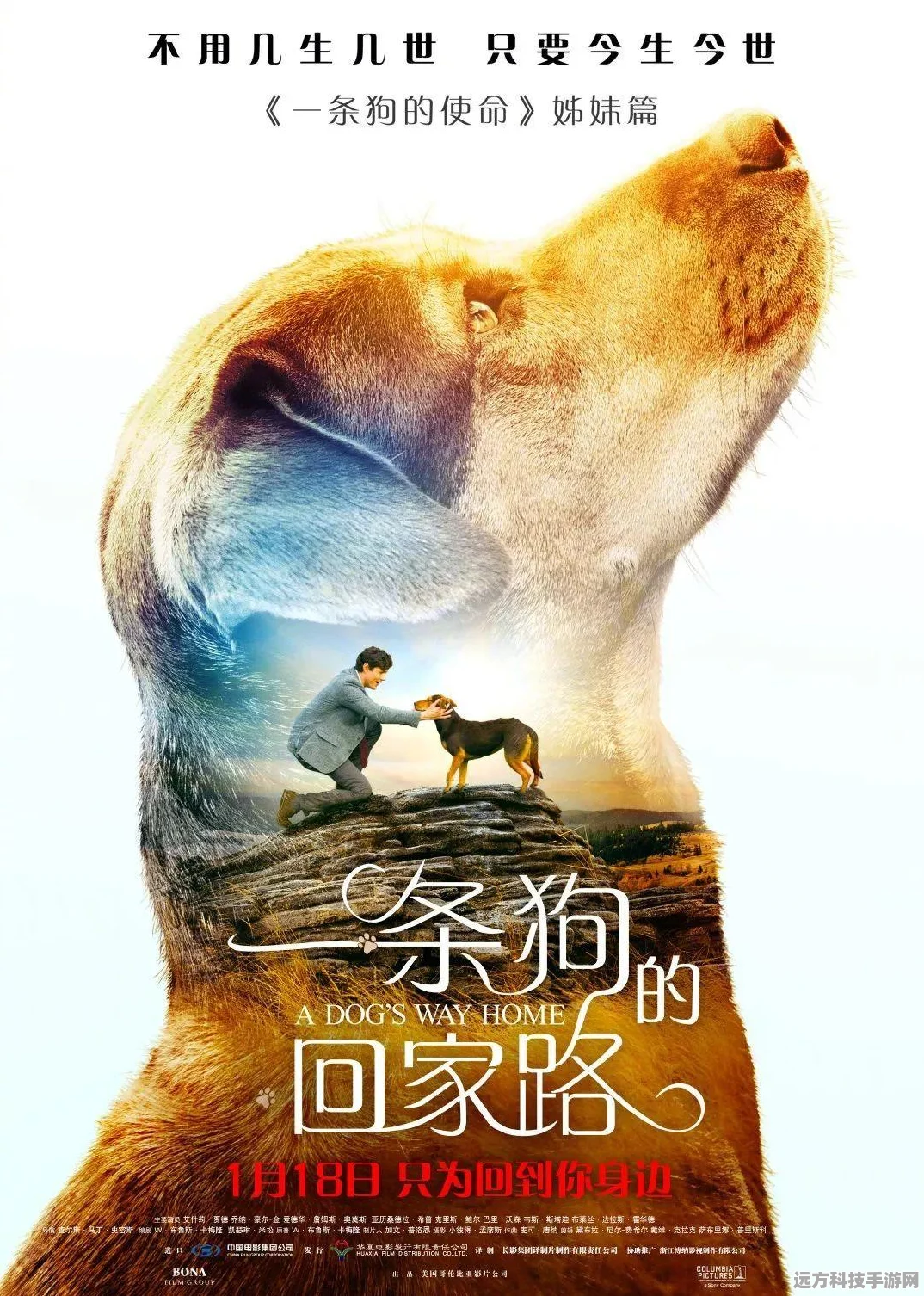 小火车查尔斯手机版震撼来袭，恐怖冒险逃生之旅等你开启