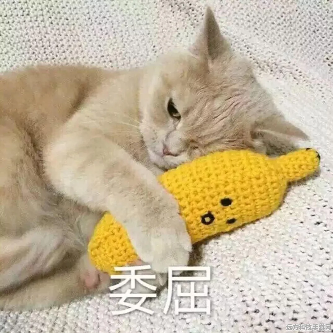 空闲的猫炮，策略射击对抗新体验等你来战