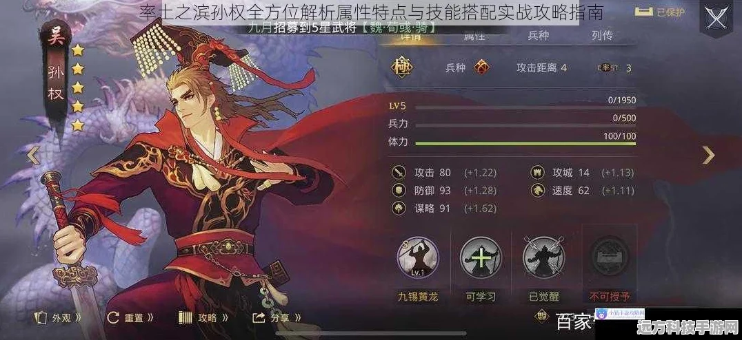 率土之滨武将深度剖析，属性特点全揭秘