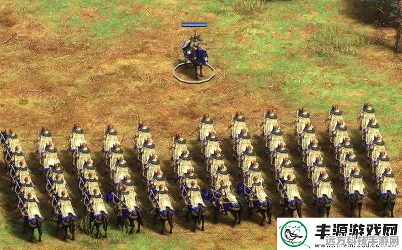 帝国荣耀，谁是最强轻骑兵帝国——深度探索帝国时代2的传奇对决