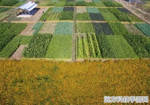 心动小镇邂逅线条小狗，联动食谱解锁秘籍大公开