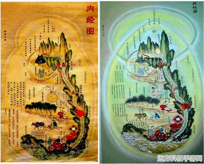 口袋妖怪白2，解锁吸取拳的终极攻略