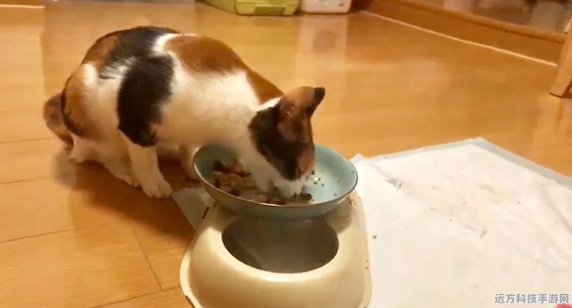 怪物猎人崛起，猫咪专属食谱大揭秘，打造最强猫饭攻略