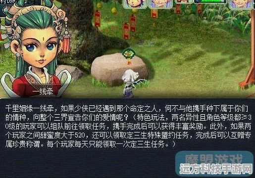 梦幻西游玩家深度解析，携手护鹊桥任务全攻略及实战步骤