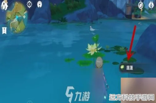 原神莲蓬获取全攻略，解锁采集秘籍，助你轻松收集