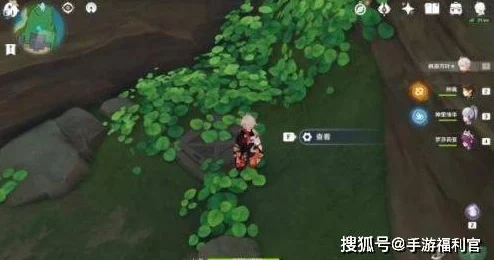 原神离岛之路全攻略，解锁新旅程的钥匙
