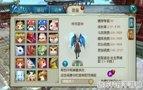 诛仙手游青云职业宠物搭配全攻略