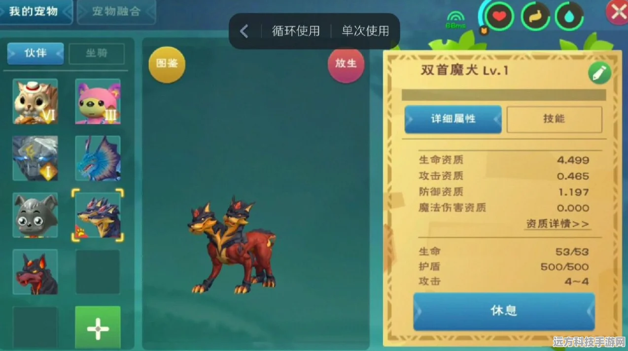 冥界烈焰守护者，创造与魔法冥狱魔犬技能全解析