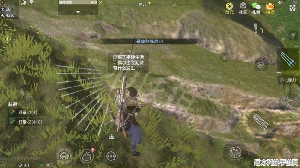 妄想山海宠物寿命上限提升全攻略