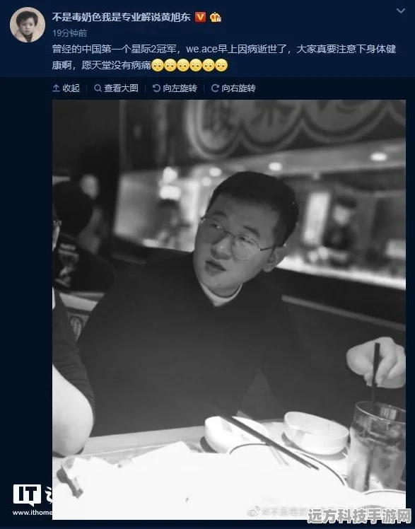 炉石传说携手星际争霸，2025年联动盛宴即将启幕