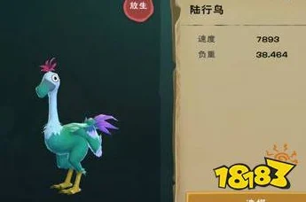 创造与魔法探索，陆行鸟踪迹与饲养秘籍