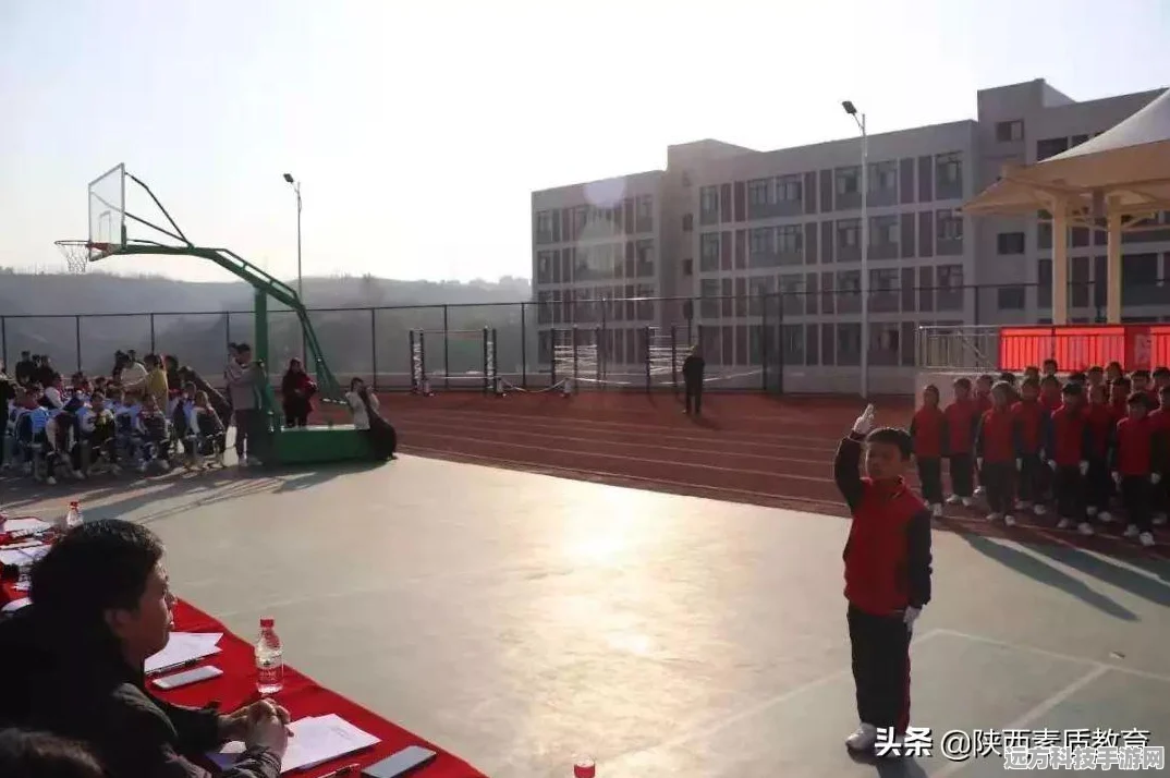 王者荣耀观赛口令与王者口令深度解析