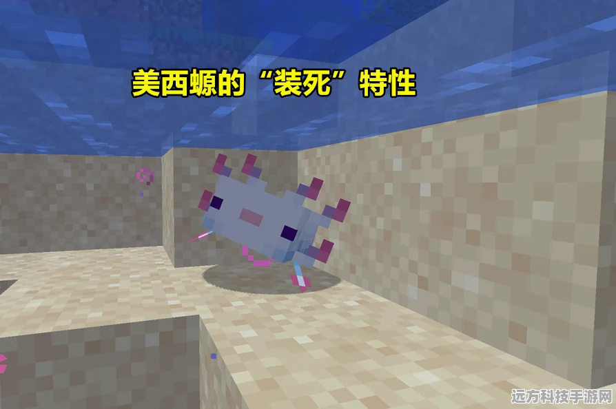 蓝色美西螈，我的世界稀有生物生成概率揭秘