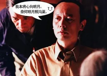 火柴人归来宠物排行榜深度解析，热门宠物选择全攻略