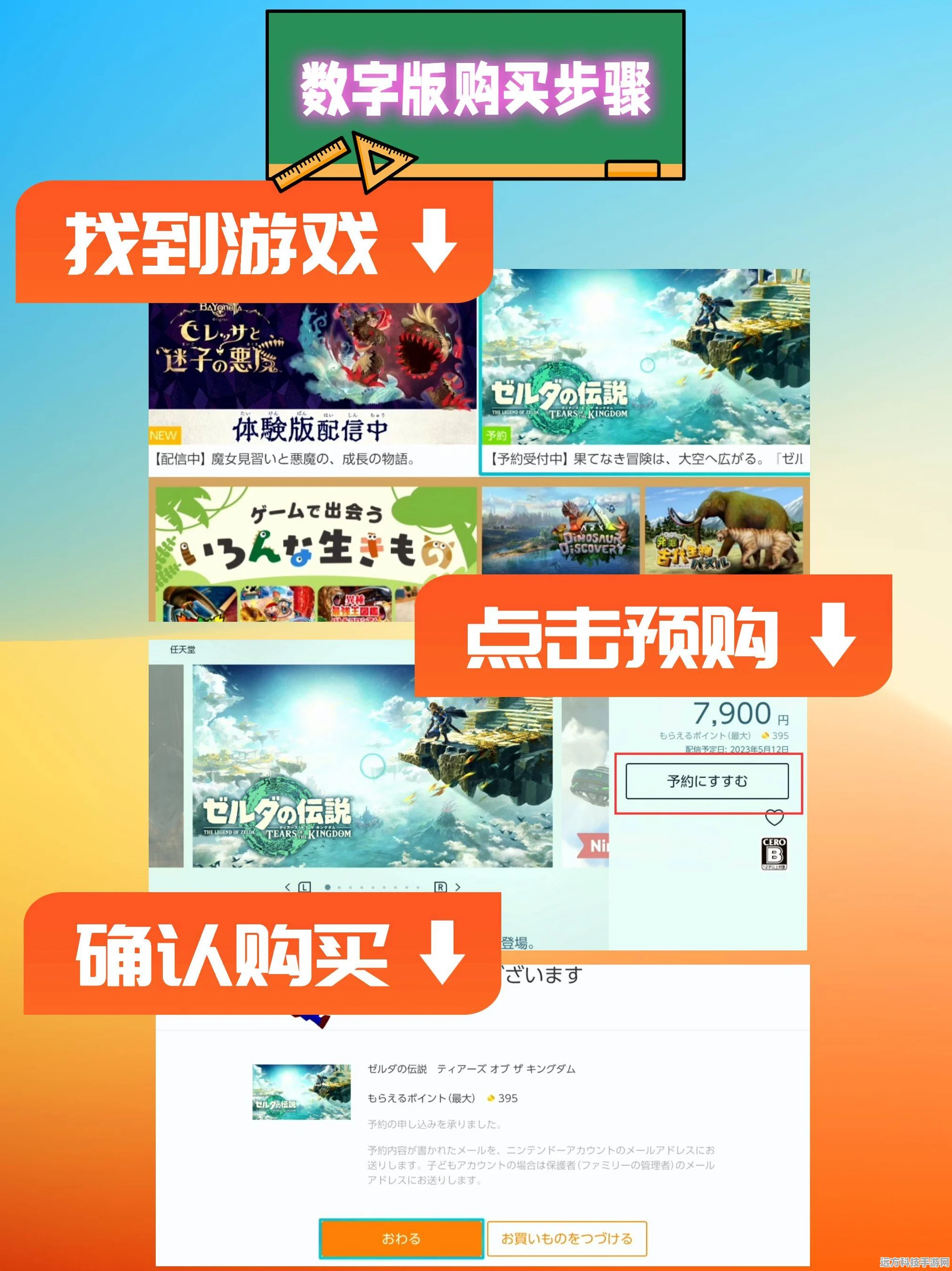 塞尔达传说王国之泪，探索高性价比卡带价格奥秘