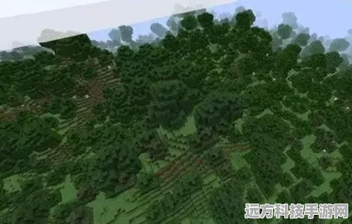 我的世界，揭秘桦木森林群系的奇幻之旅