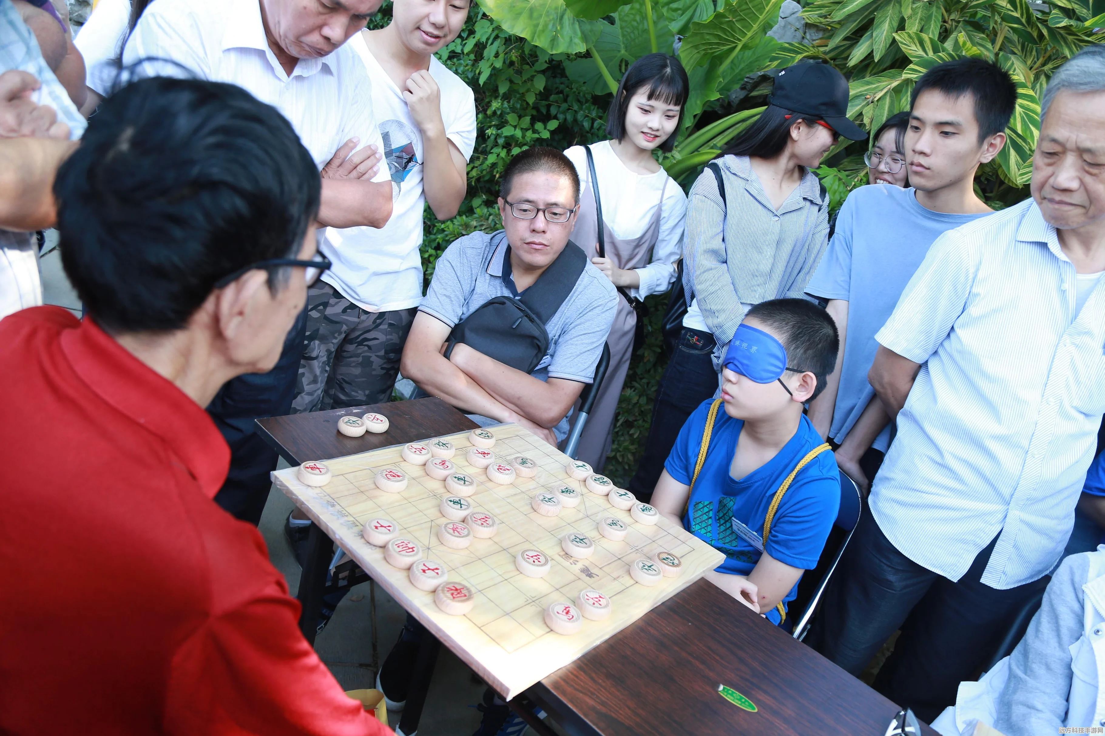 简约象棋新体验，棋路中国象棋云库版下载指南