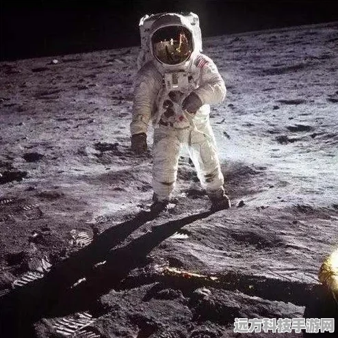 卡车模拟器遨游世界，开启你的真实驾驶之旅