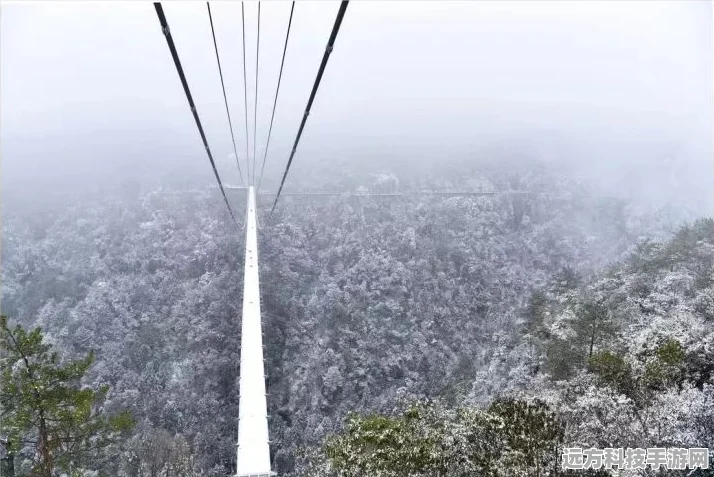摩天楼独木桥，挑战极限，体验逼真冒险之旅