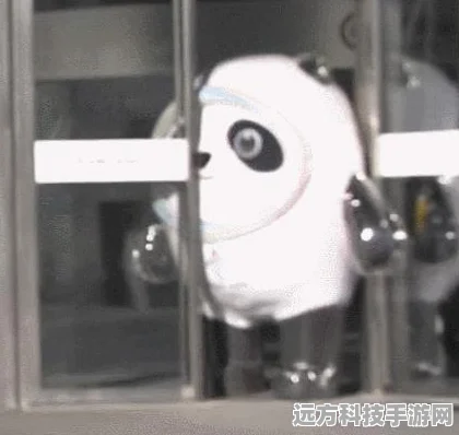 太极熊猫破防艺术，深度解析与实战技巧