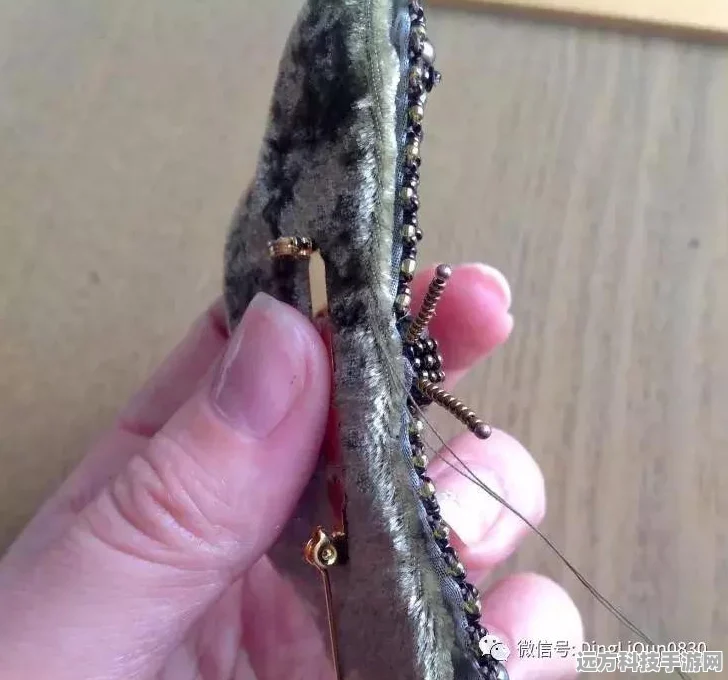 怪物猎人4深度探索，彻甲虫的羽之谜