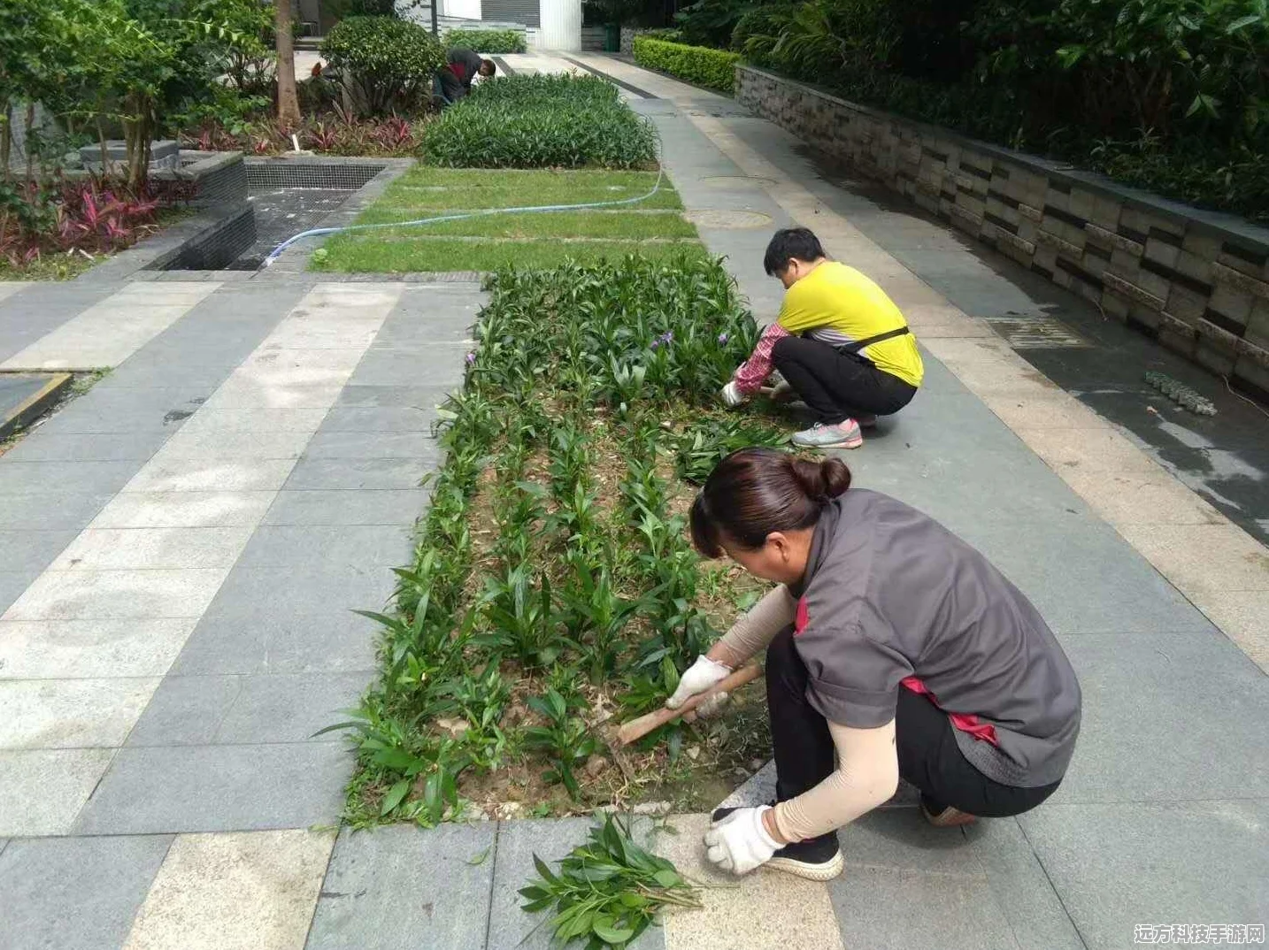 文学少女小满跨界奇迹暖暖，时尚挑战与成长的梦幻交织