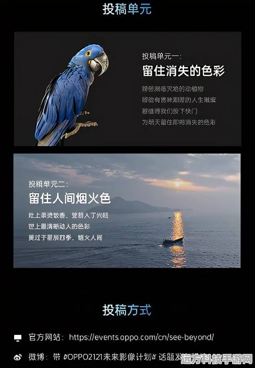放大细节，挑战眼力极限——Zoom In: Find Object游戏下载全攻略