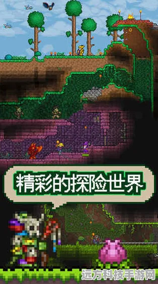 泰拉瑞亚开发者套装全揭秘，独特魅力与获取攻略