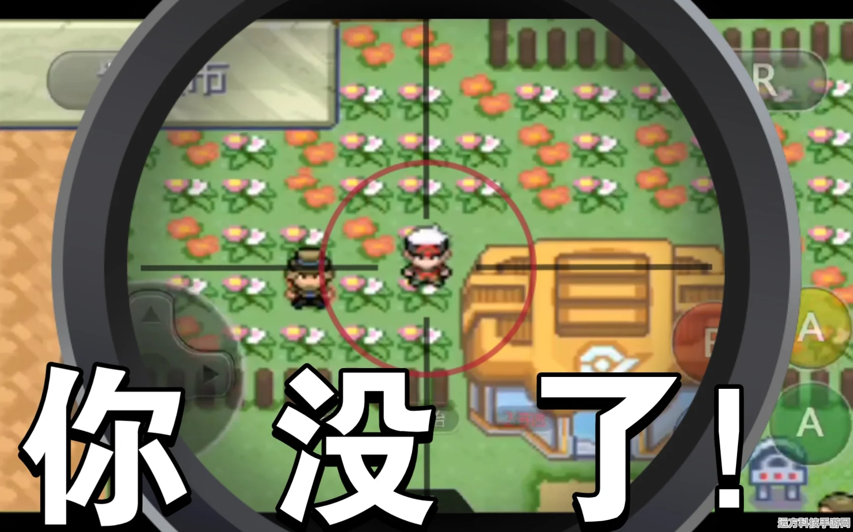 口袋妖怪究极绿宝石，解锁新紫堇的探险之旅