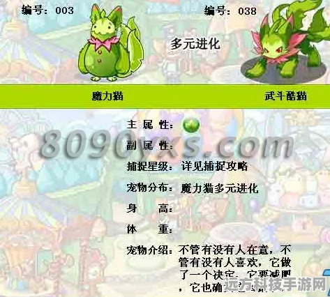 洛克王国深度探索，武斗酷猫顶级配招与实战精髓