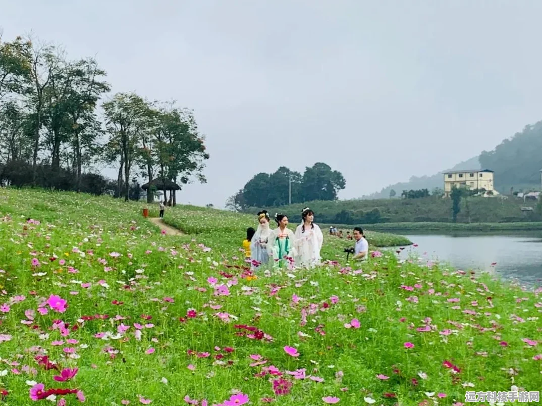 无尽梦回兑换码宝藏库，独家揭秘，限时福利大放送！