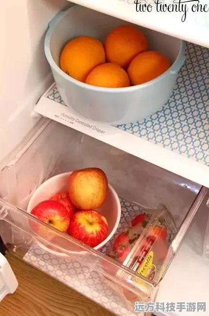 把冰箱装满Fill The Fridge，收纳爱好者的冰箱整理大挑战